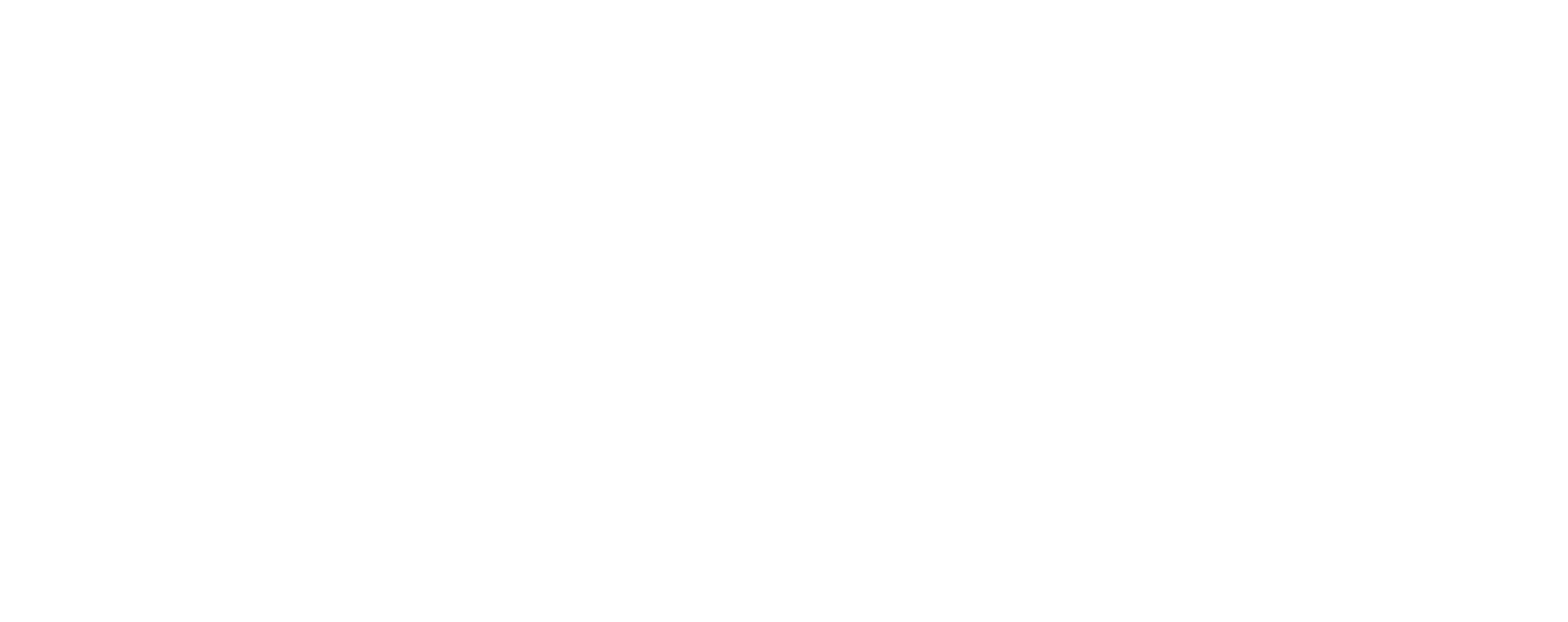 Capital Wealth Enterprise Inc